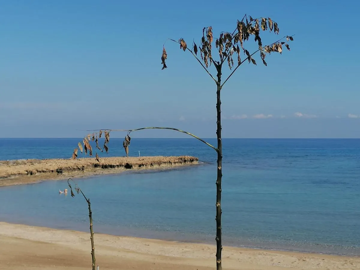 Casa de Férias Polyxenia Holiday House Protaras Chipre